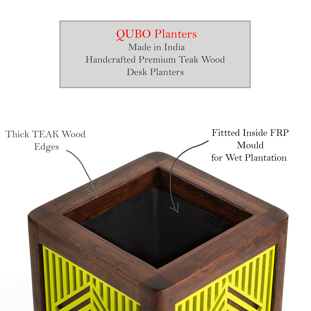 QUBO Dotted Handmade Wooden Indoor Planter Pot - myBageecha