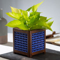 QUBO Leafy Handmade Wooden Indoor Planter Pot
