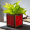 QUBO Liner Handmade Wooden Indoor Planter Pot