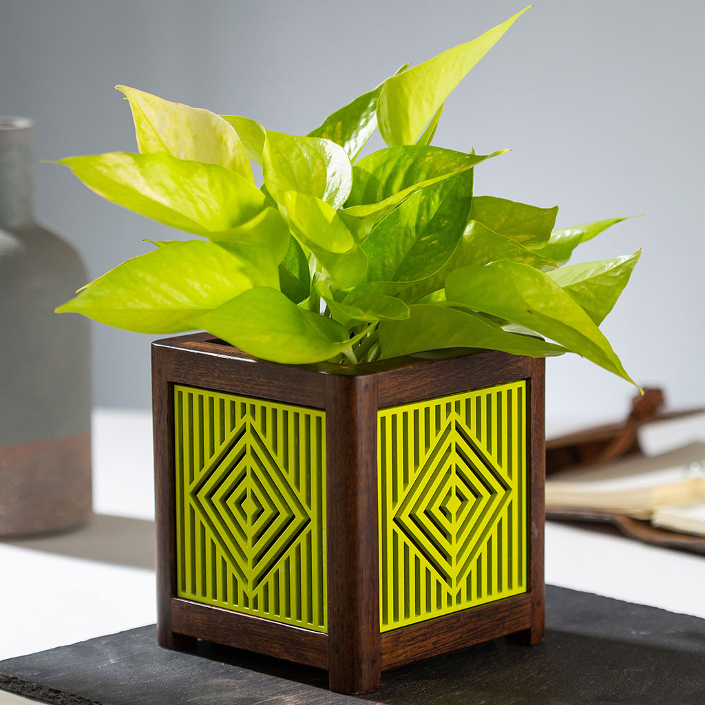 QUBO Liner Handmade Wooden Indoor Planter Pot - myBageecha