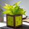 QUBO Liner Handmade Wooden Indoor Planter Pot