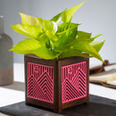 QUBO Story Handmade Wooden Indoor Planter Pot
