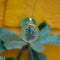 Relucent Fern Real Dried Flower Necklace