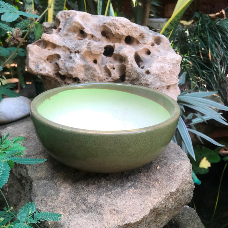 Exotic Metallic Bonsai Ceramic Pot (Medium)
