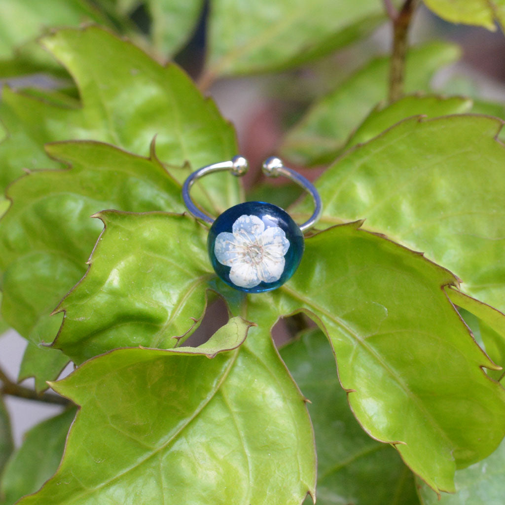 Scented Sapphire Real Dried Flower Ring - myBageecha