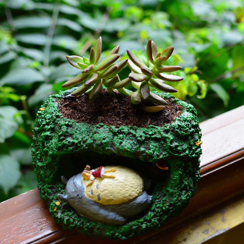 Sleeping Totoro and Mei Resin Succulent Pot - myBageecha