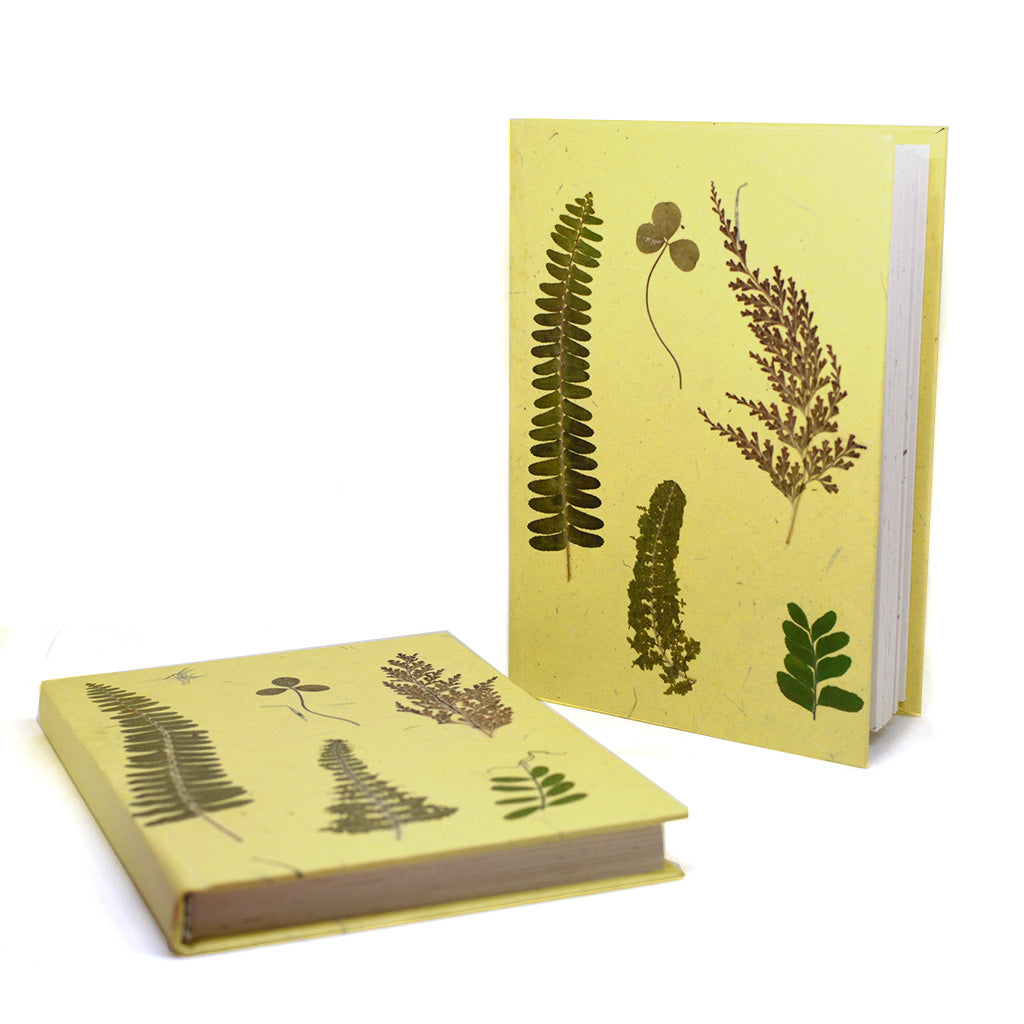 Something about Ferns Pressed Flower Diary - myBageecha