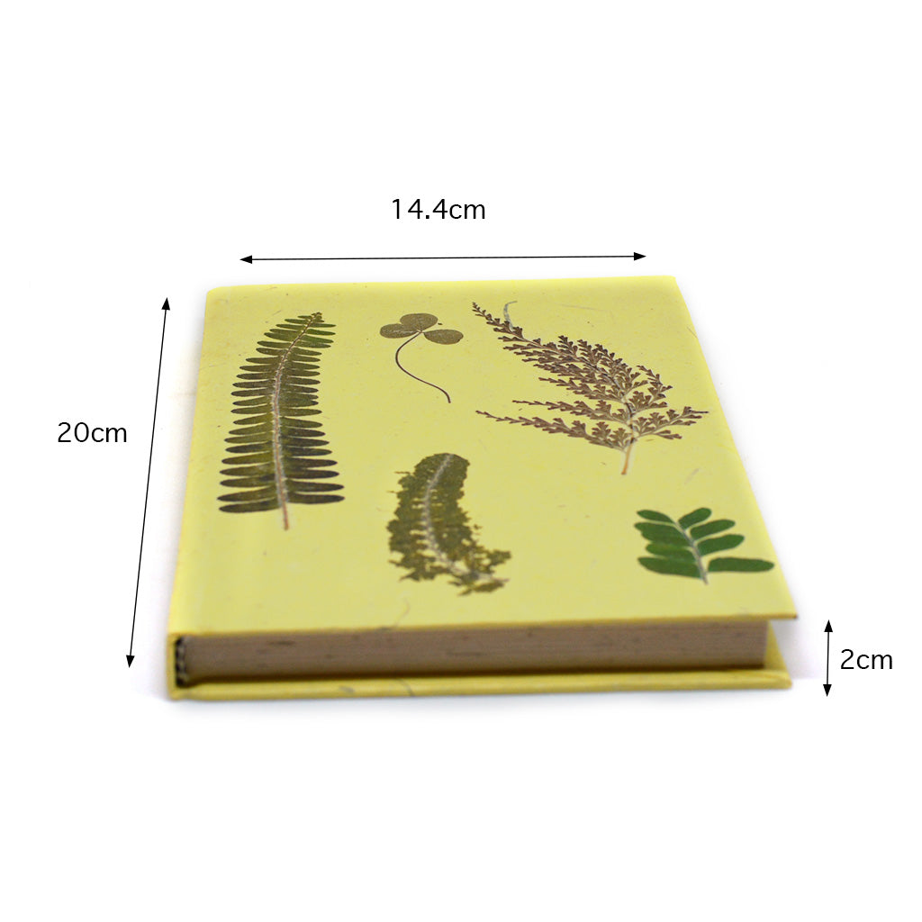 Something about Ferns Pressed Flower Diary - myBageecha