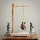Kokedama Accessories - Cantilever Stand
