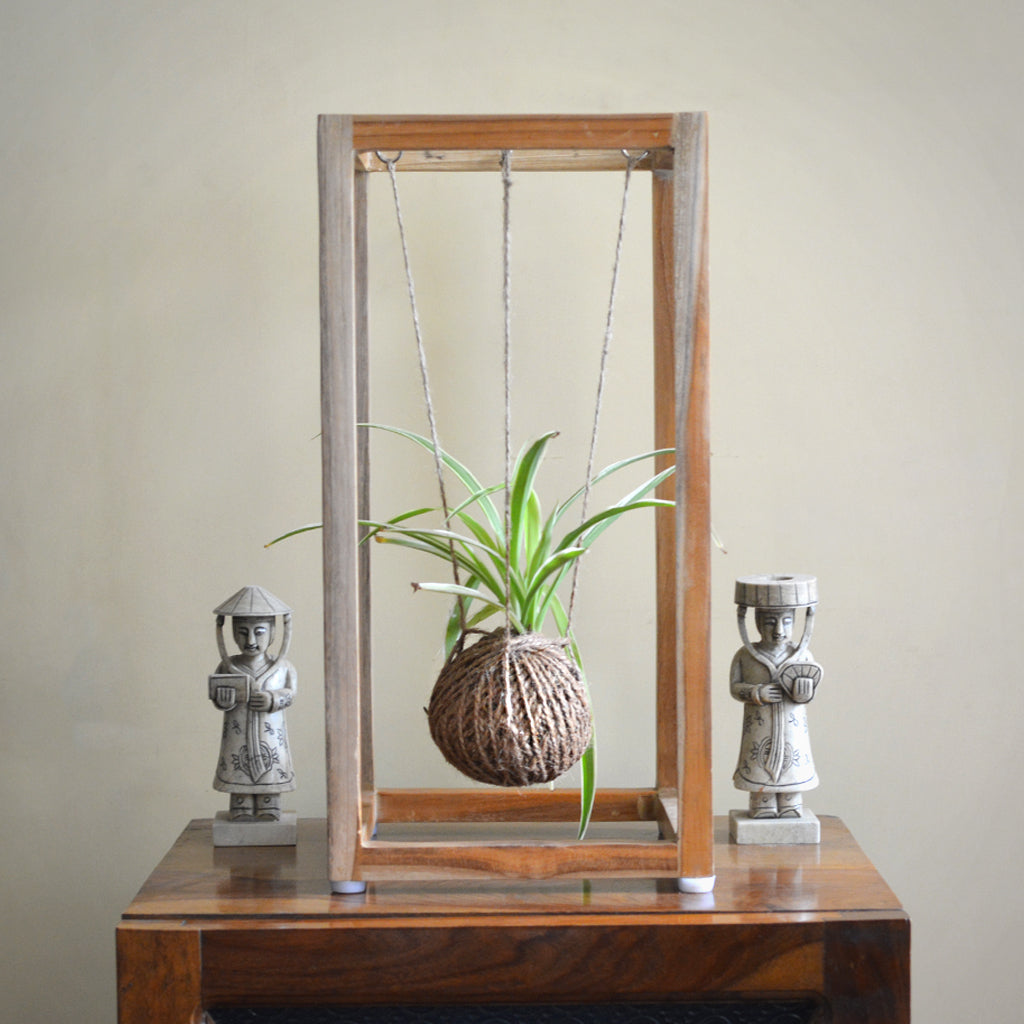 Kokedama Accessories - Cuboid Stand - myBageecha