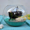 The Swamped Shipwreck Fairy Garden Kit