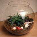8" Fish Pot Planter with Neck Garden Essentials myBageecha - myBageecha