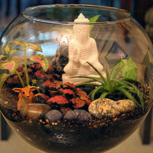 fishbowl plant pot 10” Glass Fish Bowl for Plants & Aquariums