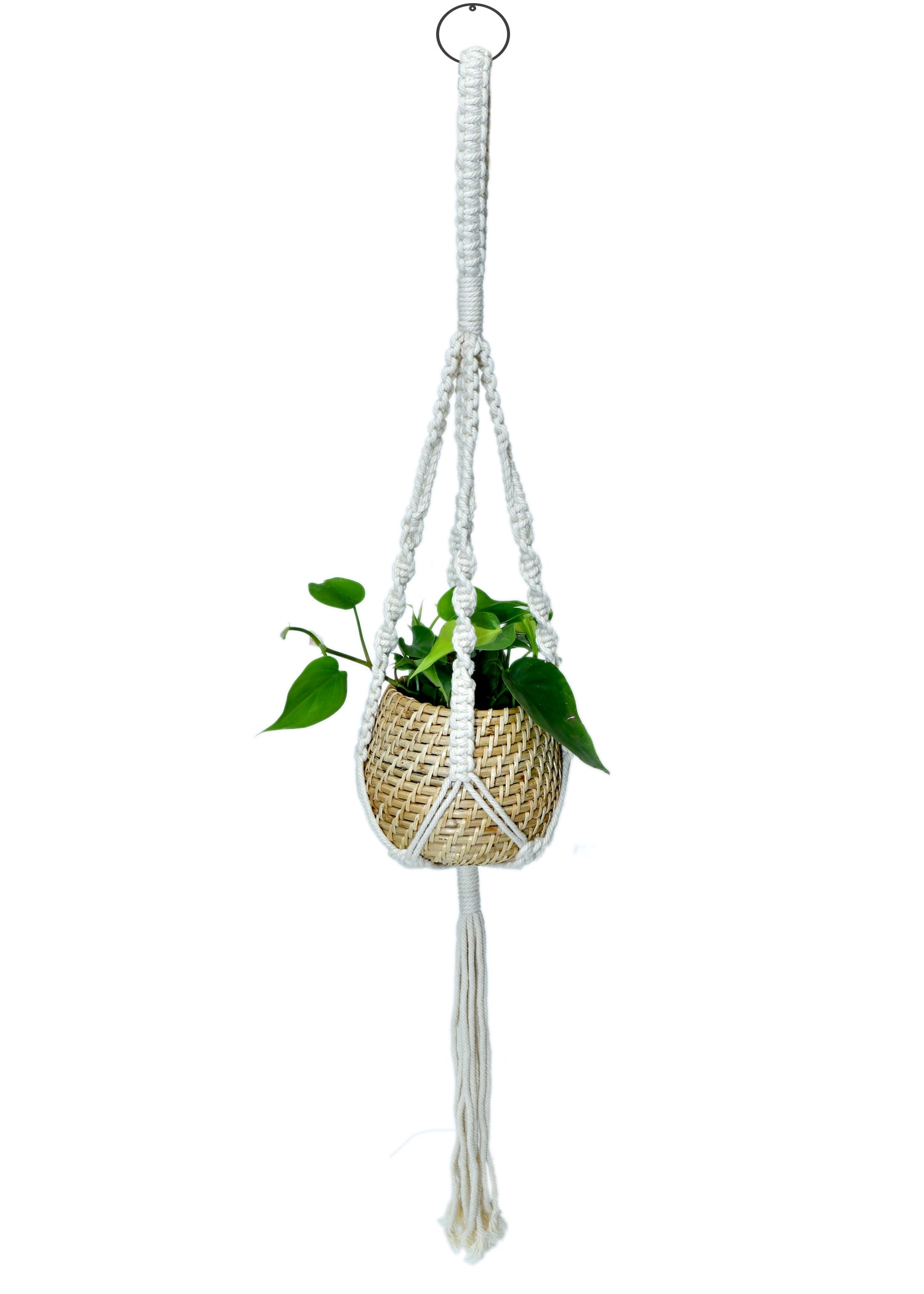 Natural Cane Handmade Planter with Macramé for Hanging - myBageecha