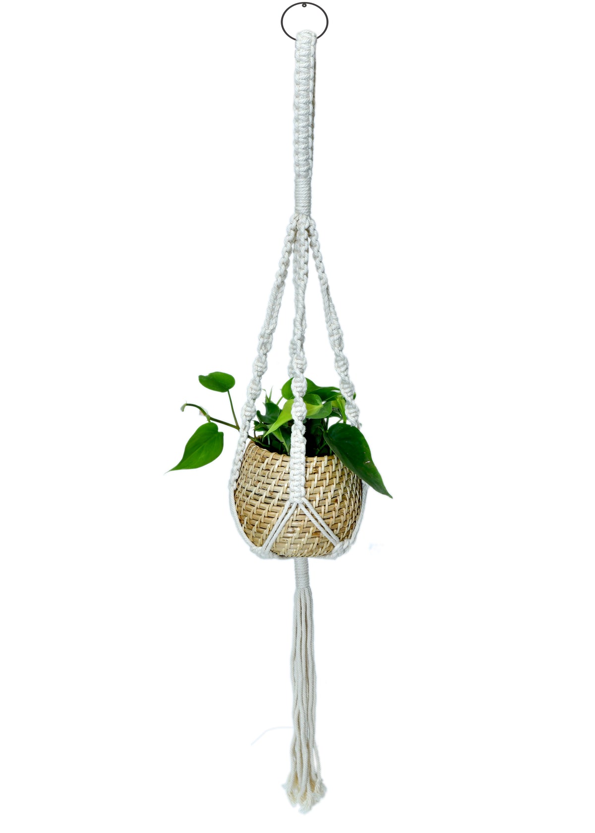 Buy Cane Pots Online Stylish & Durable MyBageecha