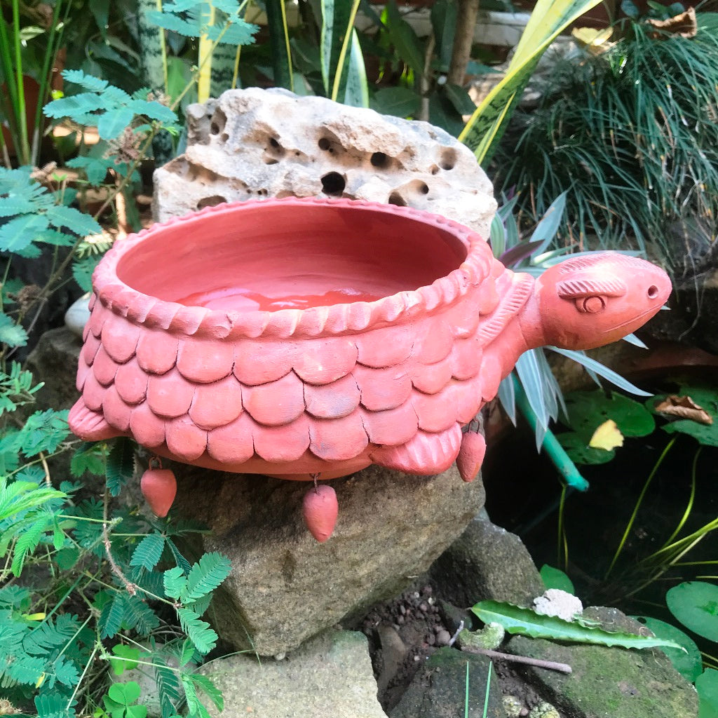 Terracotta Tortoise Planter - myBageecha