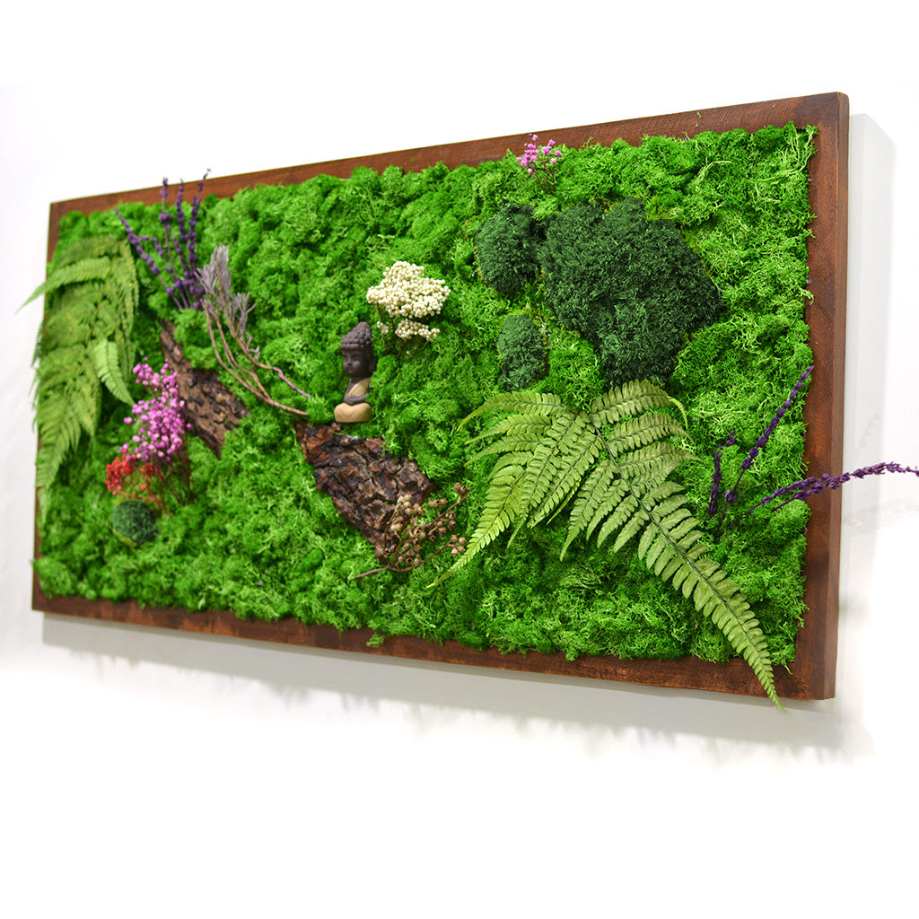 The Enlightened Bodhi Preserved Moss Frame with Dark Wood - myBageecha