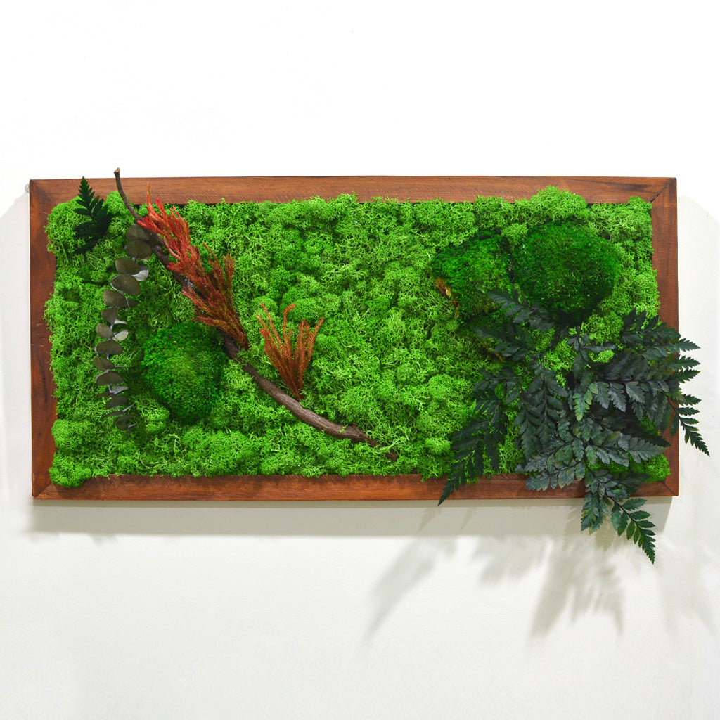 The Untamed Backwoods Preserved Moss Frame with Dark Wood - myBageecha