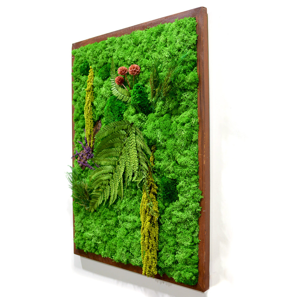 The Enchanted Wildwoods Preserved Moss Frame with Dark Wood - myBageecha