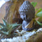 The Pondering Buddha Terrarium Kit