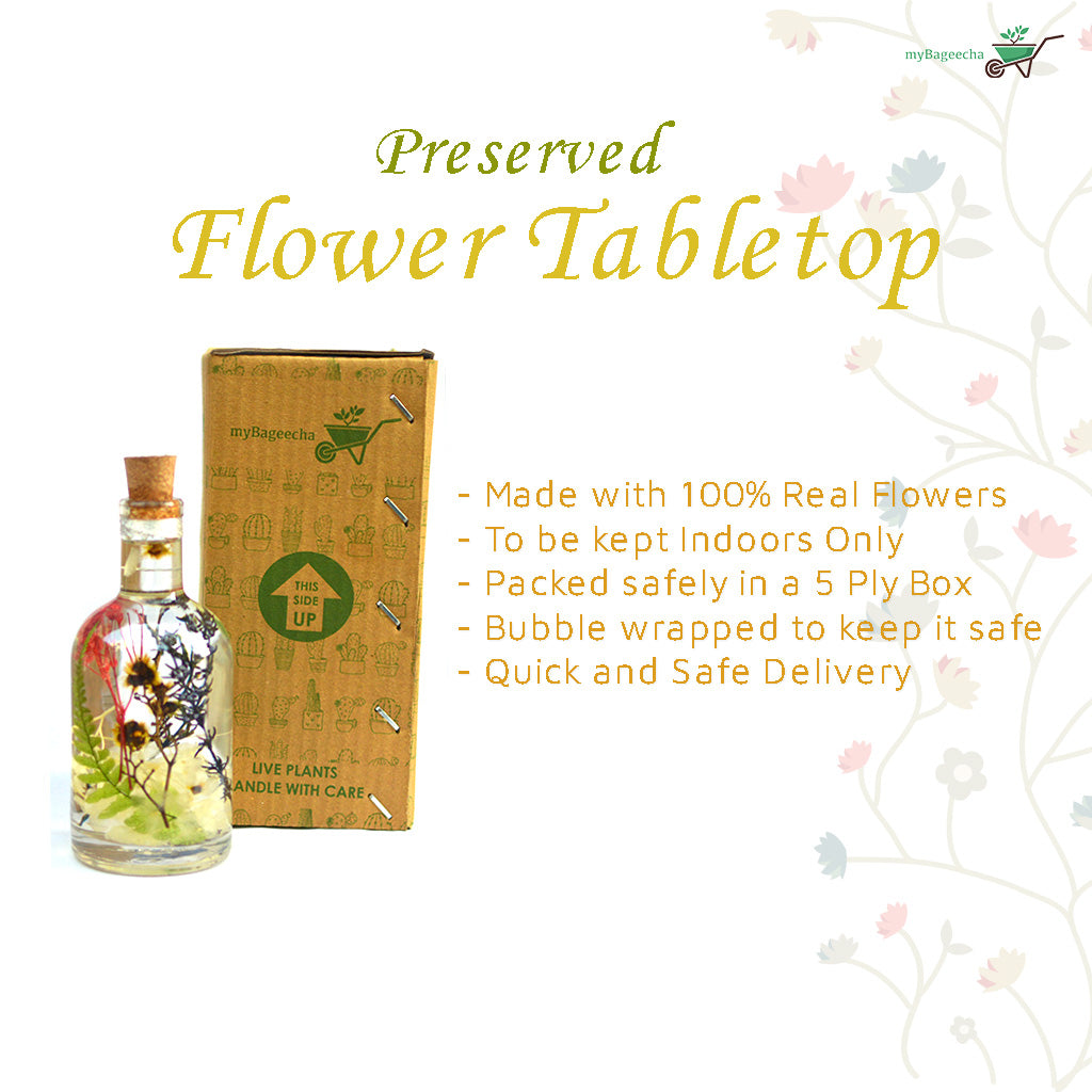 Touch of Sun Preserved Flower Tabletop - myBageecha
