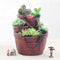 Urban Garden Resin Succulent Pot
