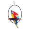 Two Parrot in Ring for hanging