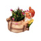 Gnome/Dwarf Planter with Mini Snail Planter