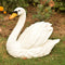 White Swan Resin Decor