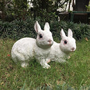 Wonderland Pair of Rabbit decoration ( garden decor , home decor , gifting )