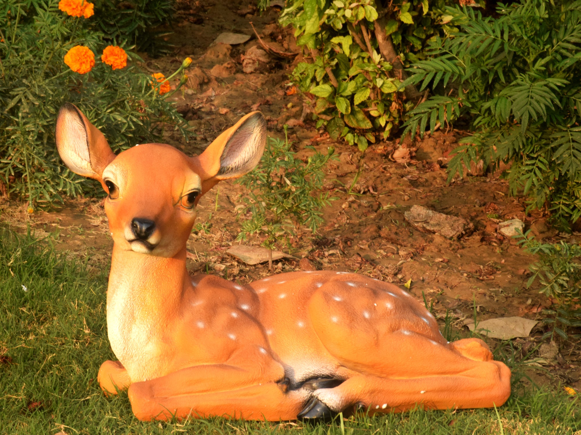 Cute Deer Sitting - myBageecha