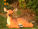 Cute Deer Sitting