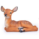 Cute Deer Sitting