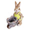 Bunny Pushing Trolley with Pot