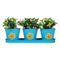 Herb Planter Set With Tray