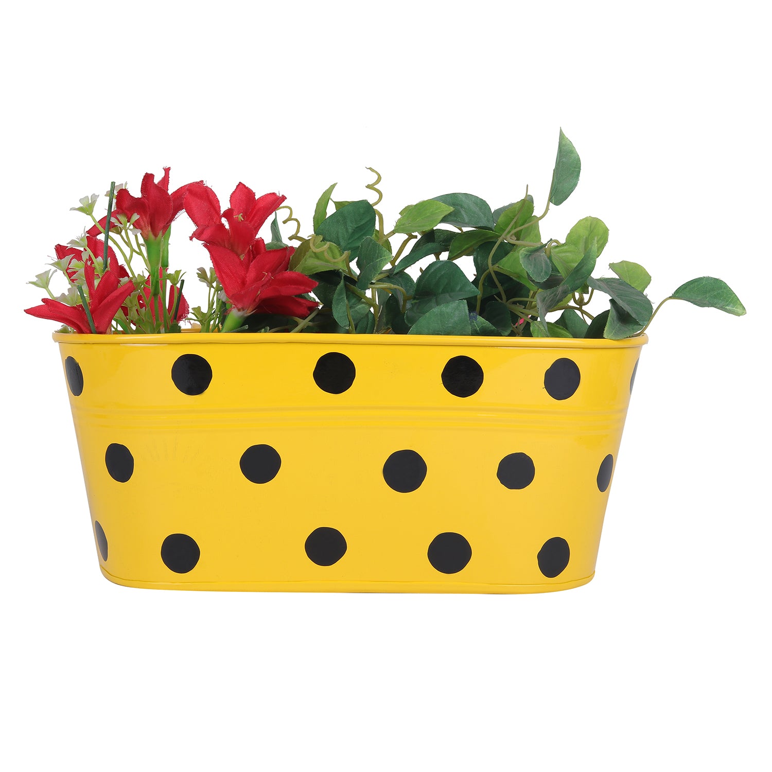 Polka Dot Railing planters(Set of 5) - myBageecha