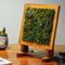 Wily Magenta Tabletop Preserved Moss Frame with Stand