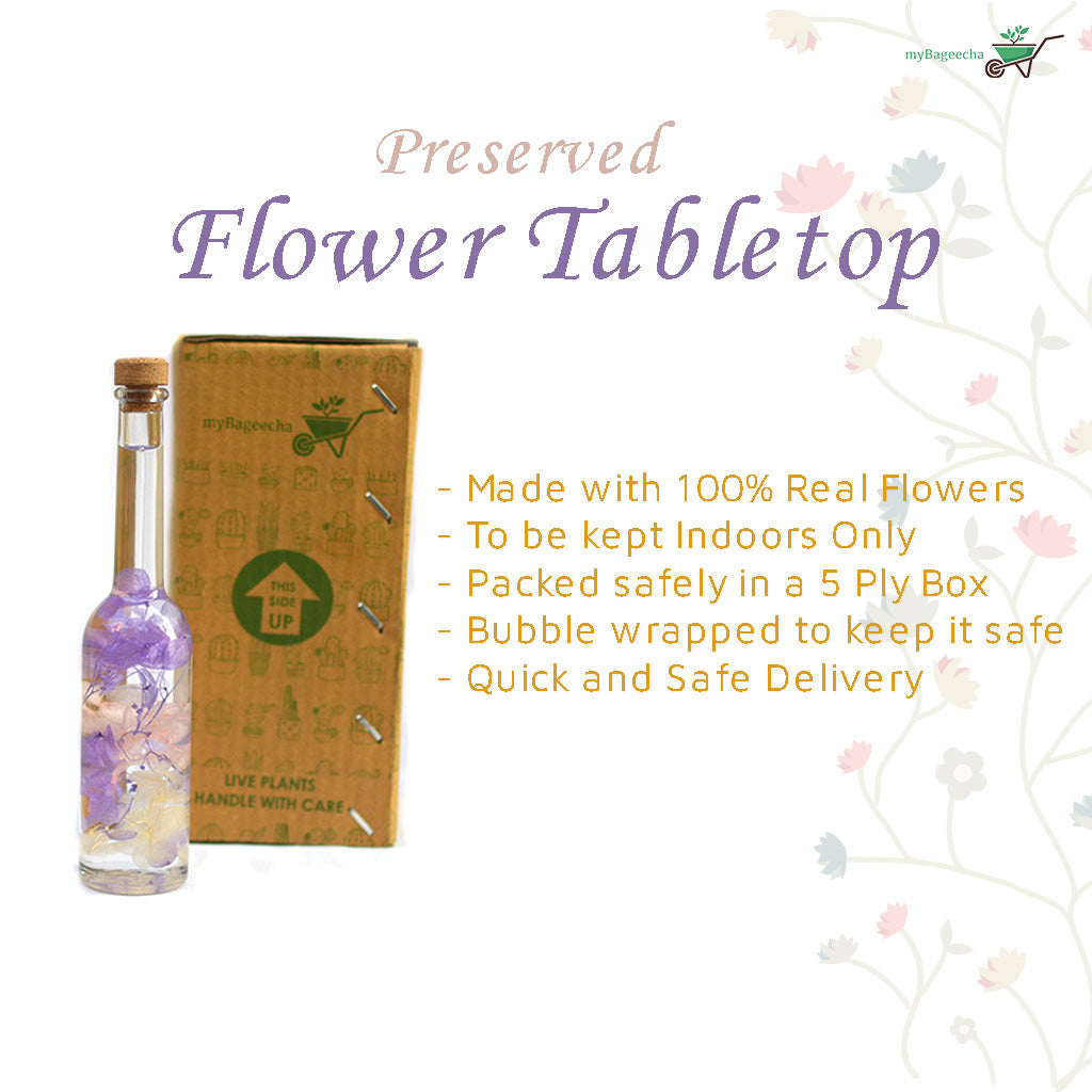 Winsome Strew Preserved Flower Tabletop - myBageecha