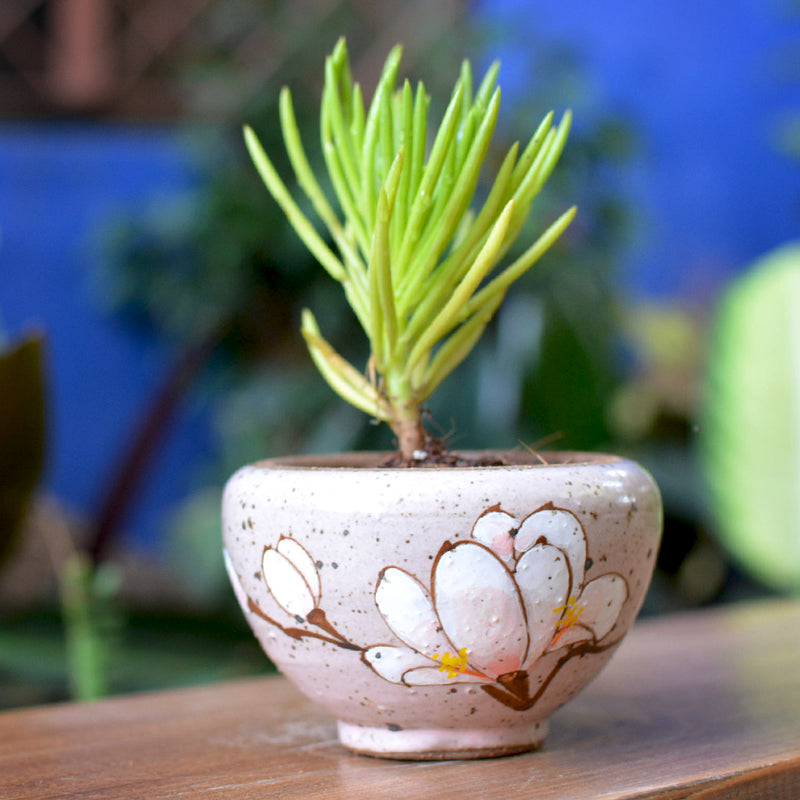 A Cold Winter Ceramic Pot