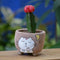Dreamy Cat Ceramic Pot