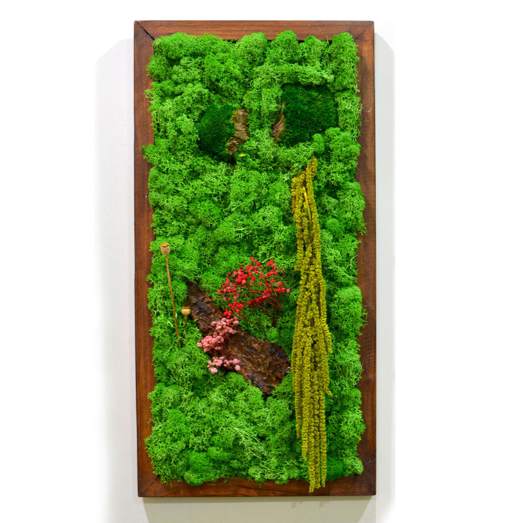 A Splash of Wild Preserved Moss Frame with Dark Wood - myBageecha