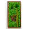A Splash of Wild Preserved Moss Frame with Dark Wood