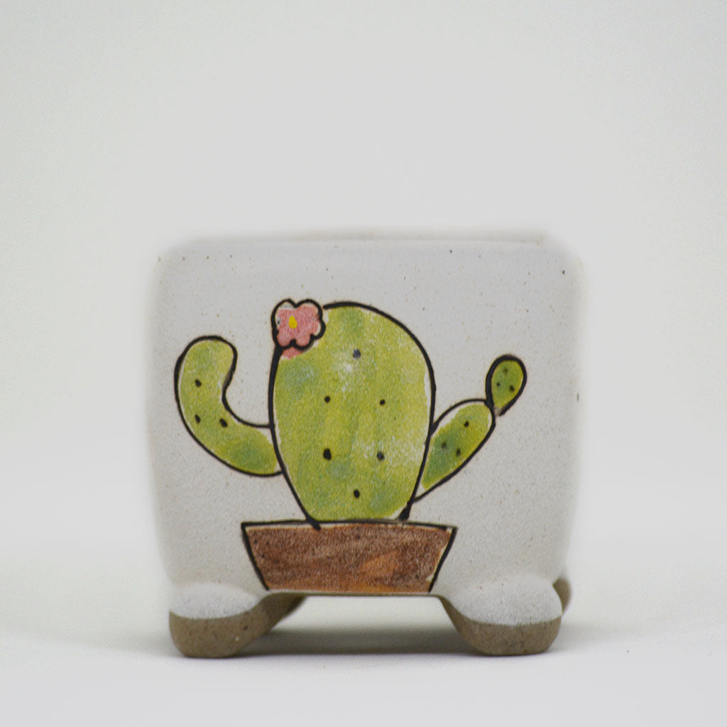 Amigo Cactii Ceramic Pot - myBageecha