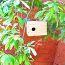 Bird Nest Rectangular - DIY Kit Birdie myBageecha - myBageecha