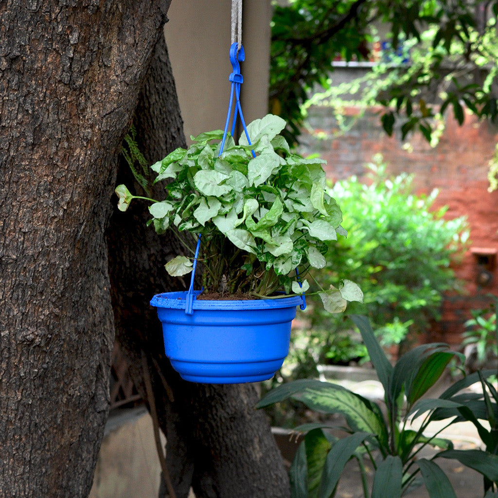Set of 2 : Hanging Blue Pot Garden Essentials myBageecha - myBageecha