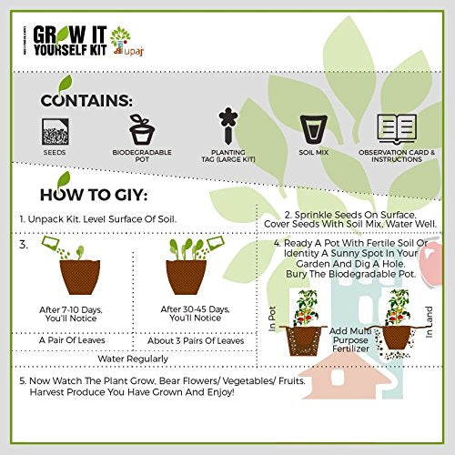 Ready To Grow Kits - Spinach (Large)