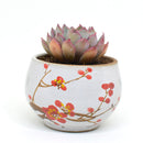 Cherry Tree Ceramic Pot