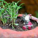 Miniature Christmas Monkey with Pine Cone