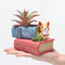 Cute Corgi Dog Reading Book Succulent Pot