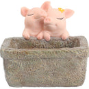 Cute Pig Romantic Couple Resin Succulent Pot